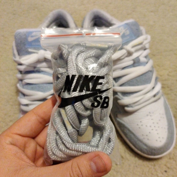 Nike SB Dunk lows main image 4